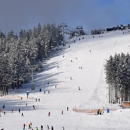 Diemelblick 17 -stilvolles Mit Sauna Und Terrasse Casa vacanze