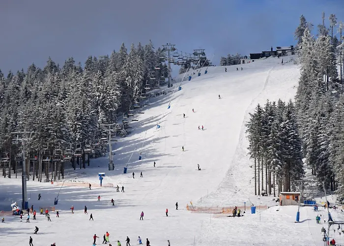 Diemelblick 17 -stilvolles Mit Sauna Und Terrasse بيت للعطل